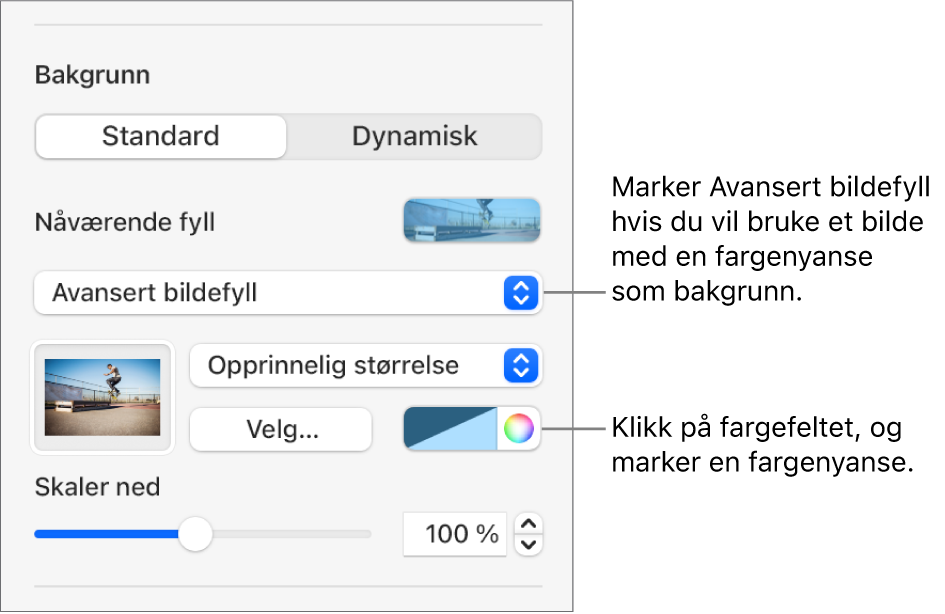 Bakgrunn-kontrollene med Avansert bildefyll med farge angitt som lysbildebakgrunn.