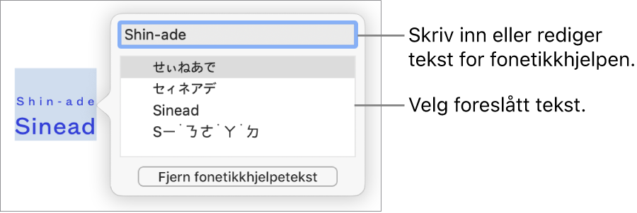 Fonetikkhjelpen er åpnet på et ord, med forklaringer for tekstfelt og foreslått tekst.