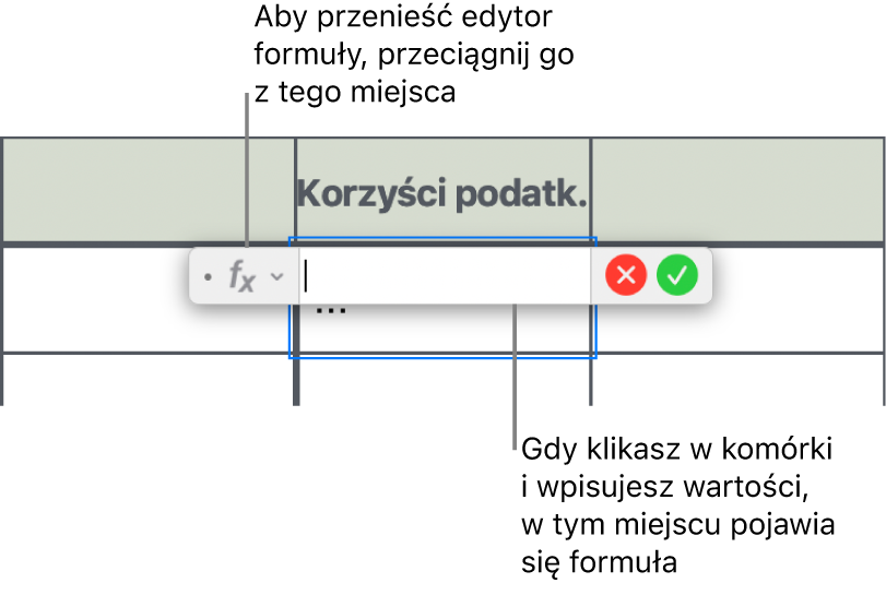 Edytor formuł.