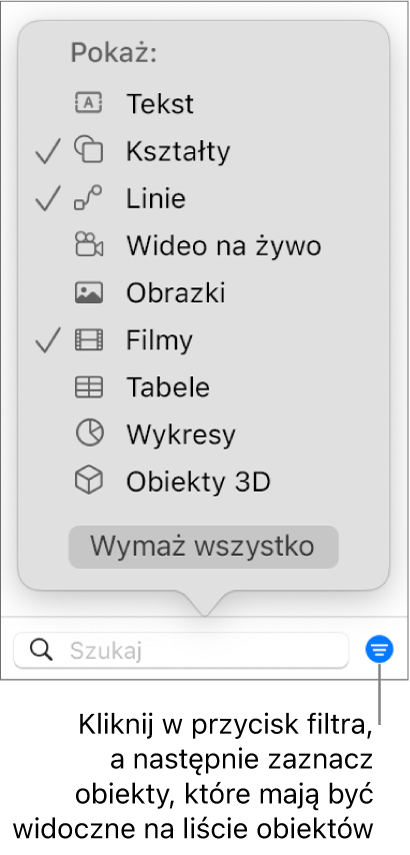Rozwinięte menu podręczne filtra, zawierające listę typów obiektów, jakie mogą znajdować się na liście (tekst, kształty, linie, obrazki, filmy, tabele i wykresy).