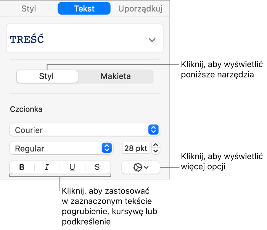 Narzędzia stylu na pasku bocznym. Objaśnienia wskazują przyciski: Pogrubienie, Kursywa, Podkreślenie oraz Przekreślenie.