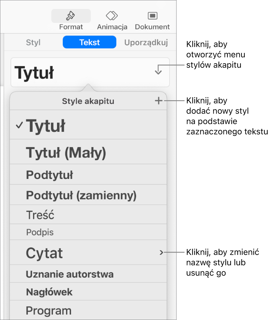 Menu Style akapitu, zawierające narzędzia pozwalające na dodawanie lub zmienianie stylu.