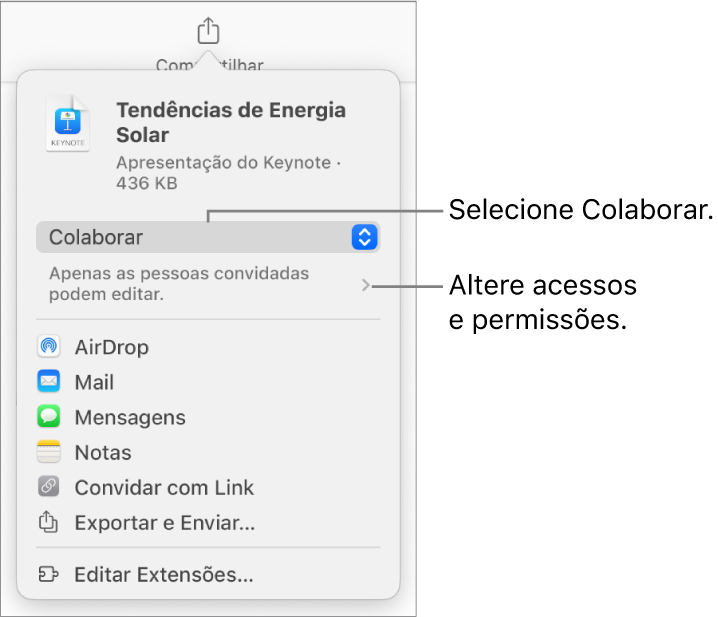 Menu Compartilhar com Colaborar selecionado na parte superior e os ajustes de acesso e permissão abaixo.