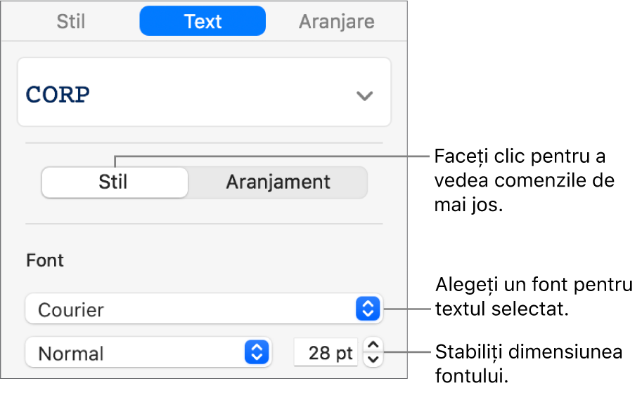 Comenzi de text din secțiunea Stil a barei laterale pentru configurarea fontului și a dimensiunii fontului.