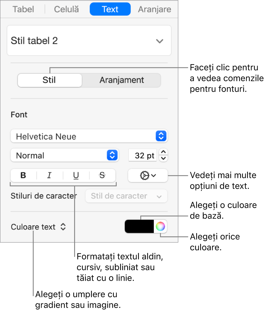 Comenzile pentru stilul textului din tabel.