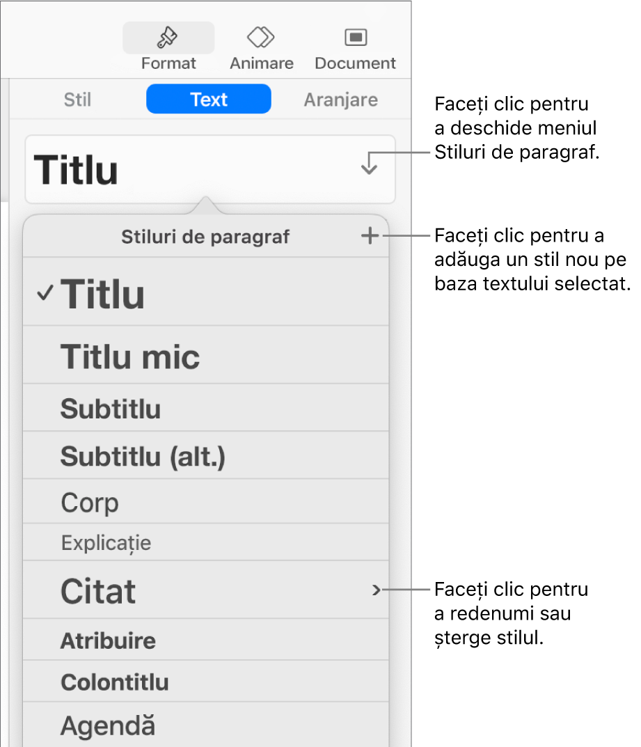 Meniul Stiluri de paragraf afișând comenzi de adăugare sau modificare a unui stil.
