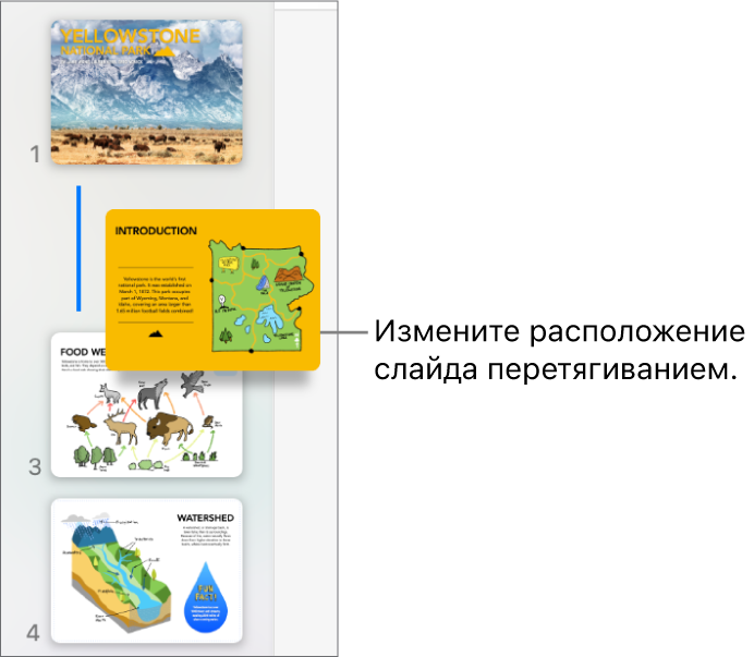 Навигатор слайдов. Показана миниатюра перемещенного слайда, помеченная линией слева.