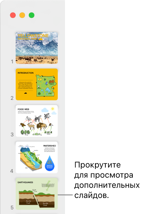 Навигатор слайдов. По вертикали отображаются пять слайдов в порядке их следования. Возможна прокрутка для просмотра других слайдов.