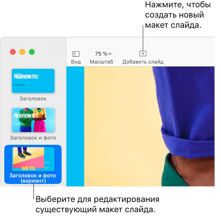 В области макета слайда показан макет слайда с кнопкой «Добавить слайд» сверху в панели инструментов.