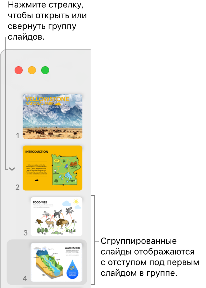 Навигатор слайдов, в котором показаны слайды с отступом.