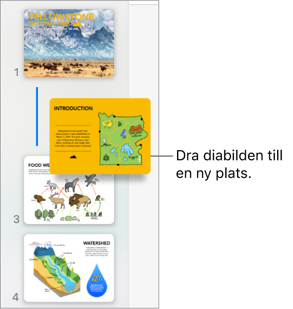 Diabildsnavigatorn med en diabildsminiatyr som flyttats, med en linje till vänster.