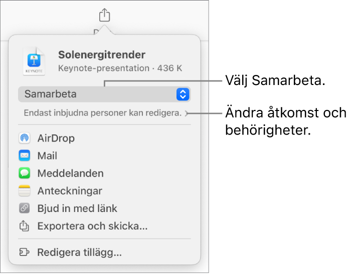 Delningsmenyn med Samarbeta markerat högst upp och tillgångs- och behörighetsinställningar under.