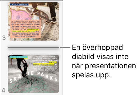 Diabildsnavigatorn med en överhoppad bild som visas som en horisontell linje.