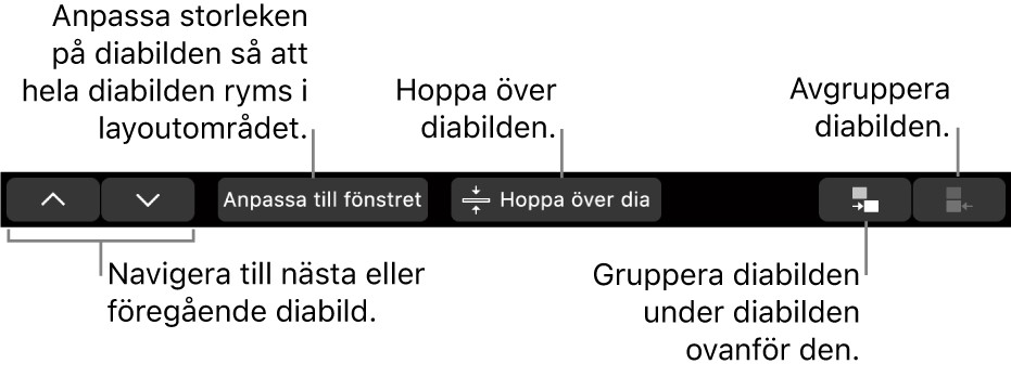 Touch Bar på MacBook Pro med reglage för att navigera till nästa eller föregående diabild, anpassa diabilden efter diabildslayoutområdet, hoppa över en diabild och för att gruppera eller avgruppera en diabild.