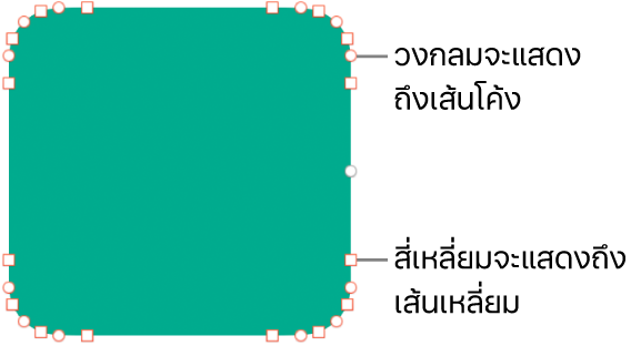 รูปร่างที่มีจุดที่แก้ไขได้