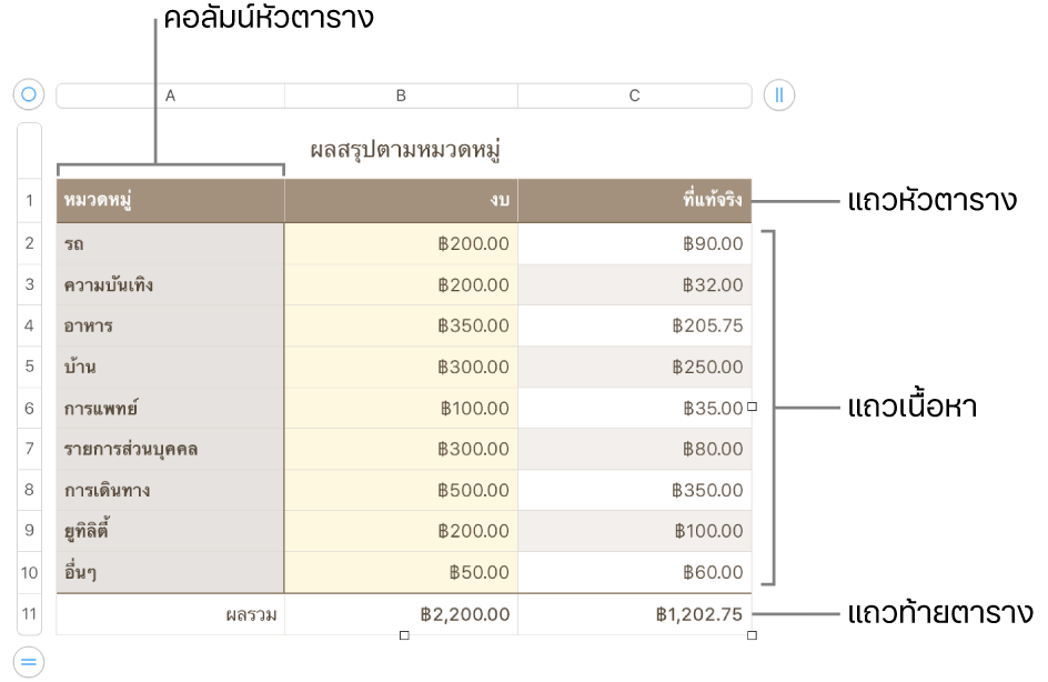 ตารางที่แสดงแถวและคอลัมน์หัวตาราง ตัวตาราง และท้ายตาราง และขอบจับเพื่อเพิ่มหรือลบแถวหรือคอลัมน์