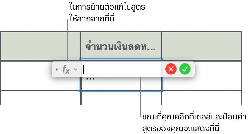 ตัวแก้ไขสูตร