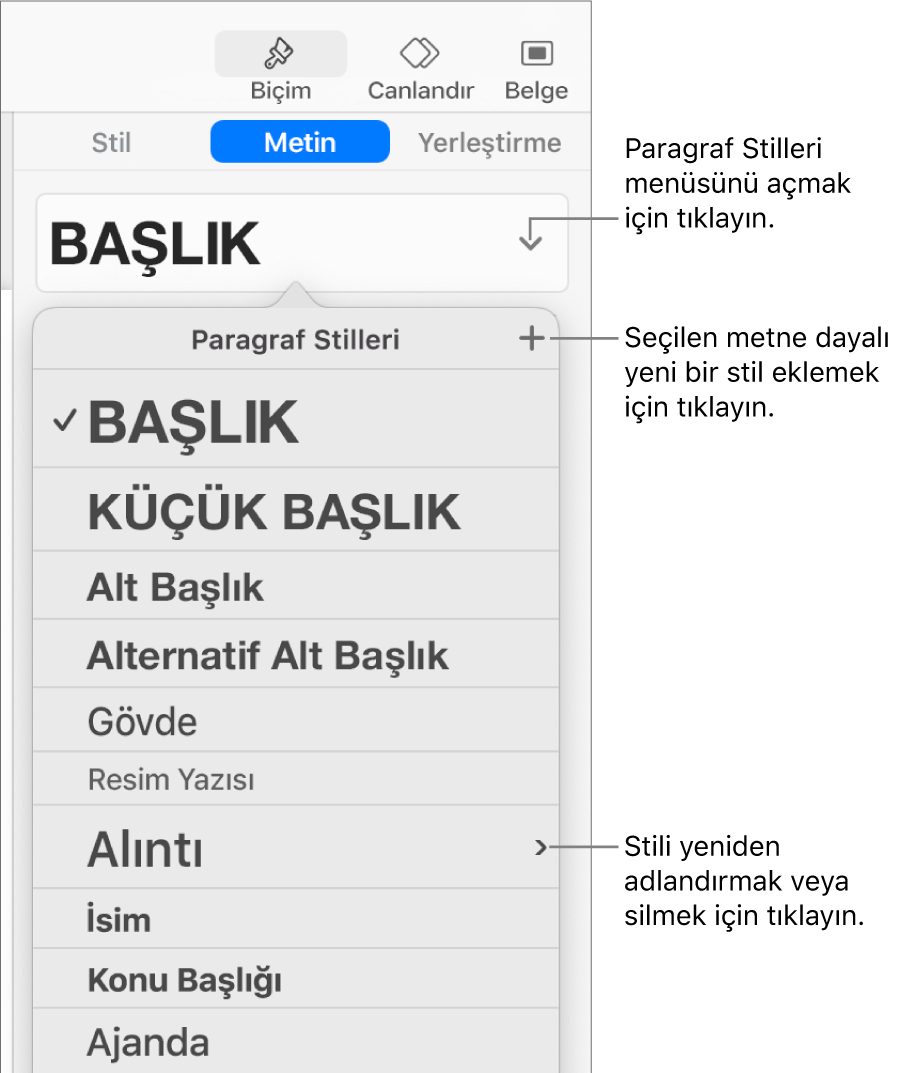 Stil ekleme veya değiştirme denetimlerini gösteren Paragraf Stilleri menüsü.