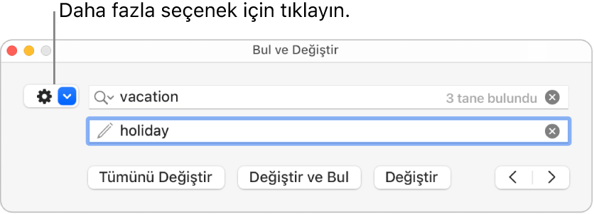 Daha fazla seçenek gösteren açılır menüye bir belirtme çizgisiyle Bul ve Değiştir penceresi.