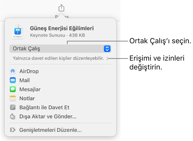 En üstte Ortak Çalış seçili olan Paylaş menüsü ve altında erişim ve izin ayarları.