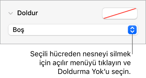 Seçilen bir hücreden nesne silmek için kullanılacak denetim.