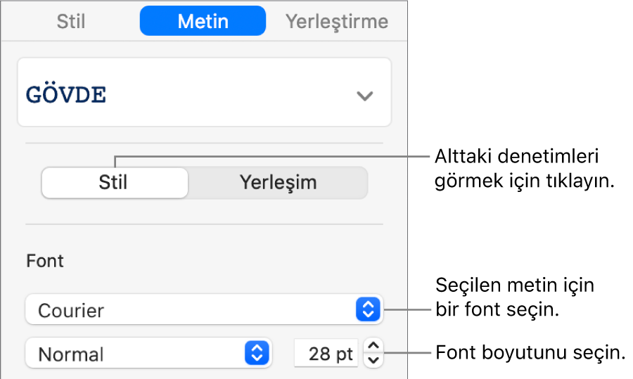 Fontu ve font büyüklüğünü ayarlamak için kenar çubuğunun Stil bölümündeki metin denetimleri.