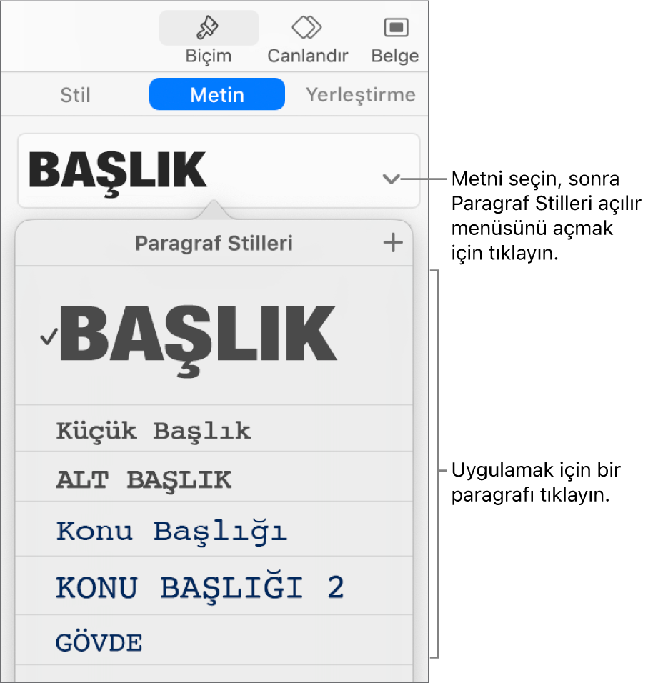 Seçili stilin yanında onay işaretli Paragraf Stilleri menüsü.