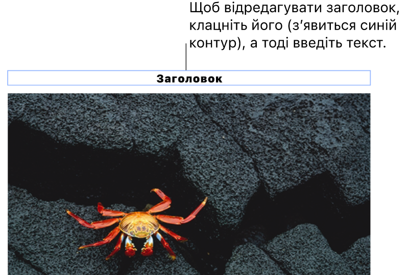 Зразок «Заголовок» відображається під фотографією, синій контур довкола поля заголовку вказує, що його вибрано.