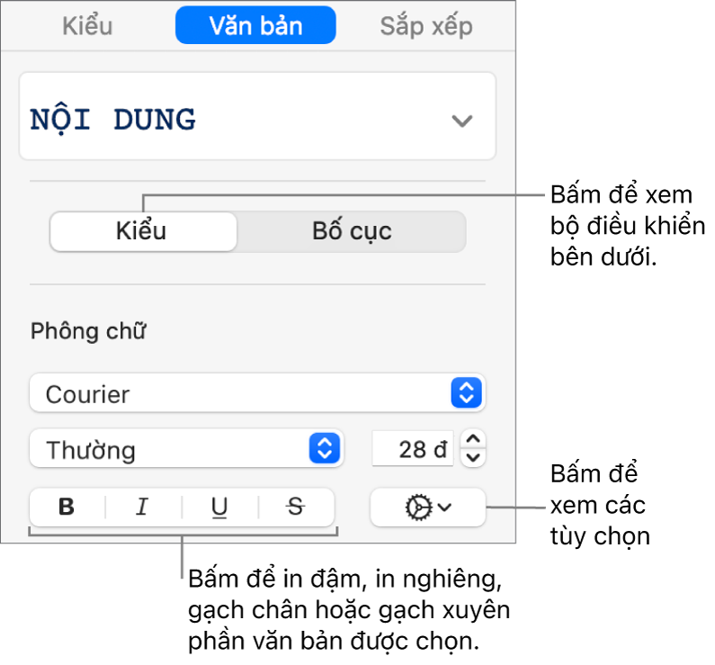 Các điều khiển Kiểu trong thanh bên với các chú thích đến các nút Đậm, Nghiêng, Gạch chân và Gạch xuyên.