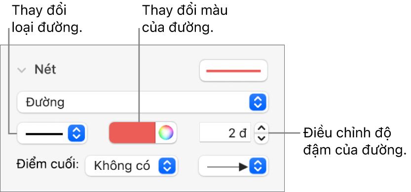 Các điều khiển nét để đặt điểm cuối, độ đậm của đường và màu.