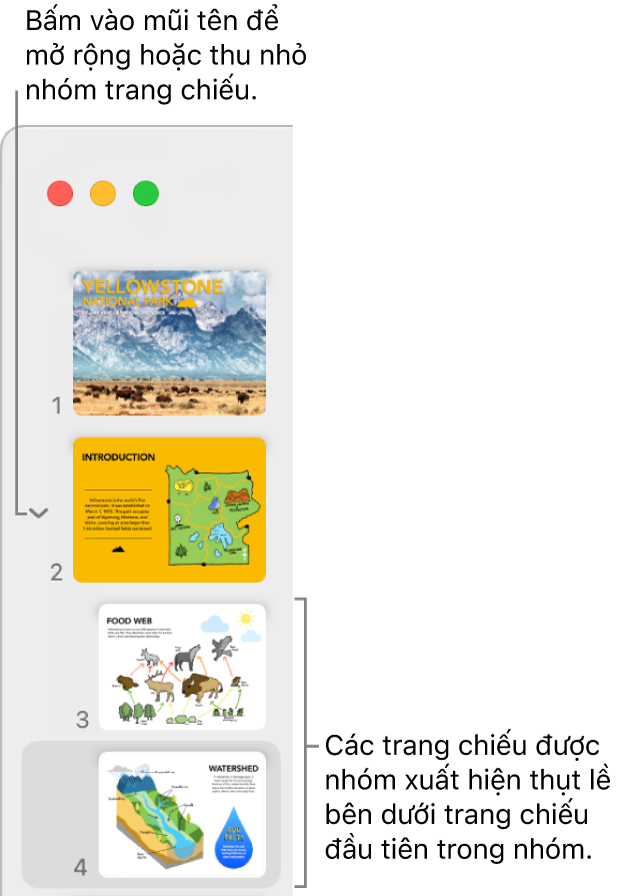 Trình điều hướng trang chiếu đang hiển thị các trang chiếu được thụt lề.