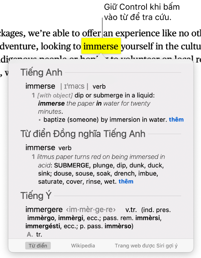 Văn bản có từ được tô sáng và cửa sổ hiển thị định nghĩa cũng như mục nhập từ điển đồng nghĩa. Hai nút ở cuối cửa sổ sẽ cung cấp liên kết đến từ điển và Wikipedia.