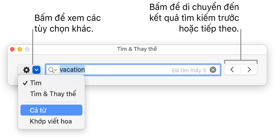 Cửa sổ Tìm & Thay thế với menu bật lên hiển thị các tùy chọn cho Tìm, Tìm & Thay thế, Cả từ và Khớp viết hoa. Các mũi tên ở bên phải cho phép bạn chuyển đến kết quả tìm kiếm trước đó hoặc tiếp theo.