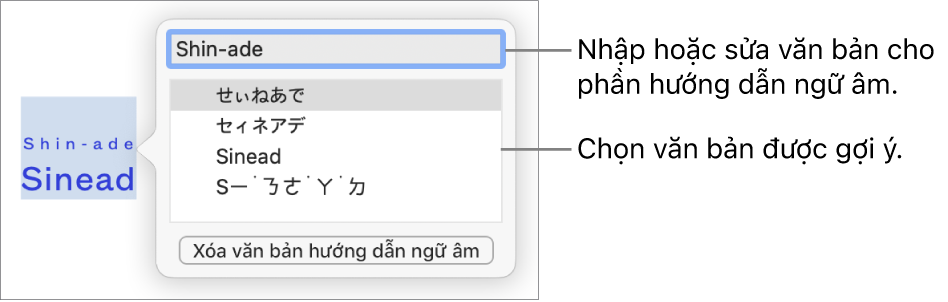 Phiên âm sẽ mở cho một từ, với các lời nhắc đến trường văn bản và văn bản được gợi ý.