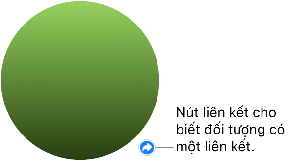 Vòng tròn màu lục có nút liên kết biểu thị rằng đối tượng có một liên kết.