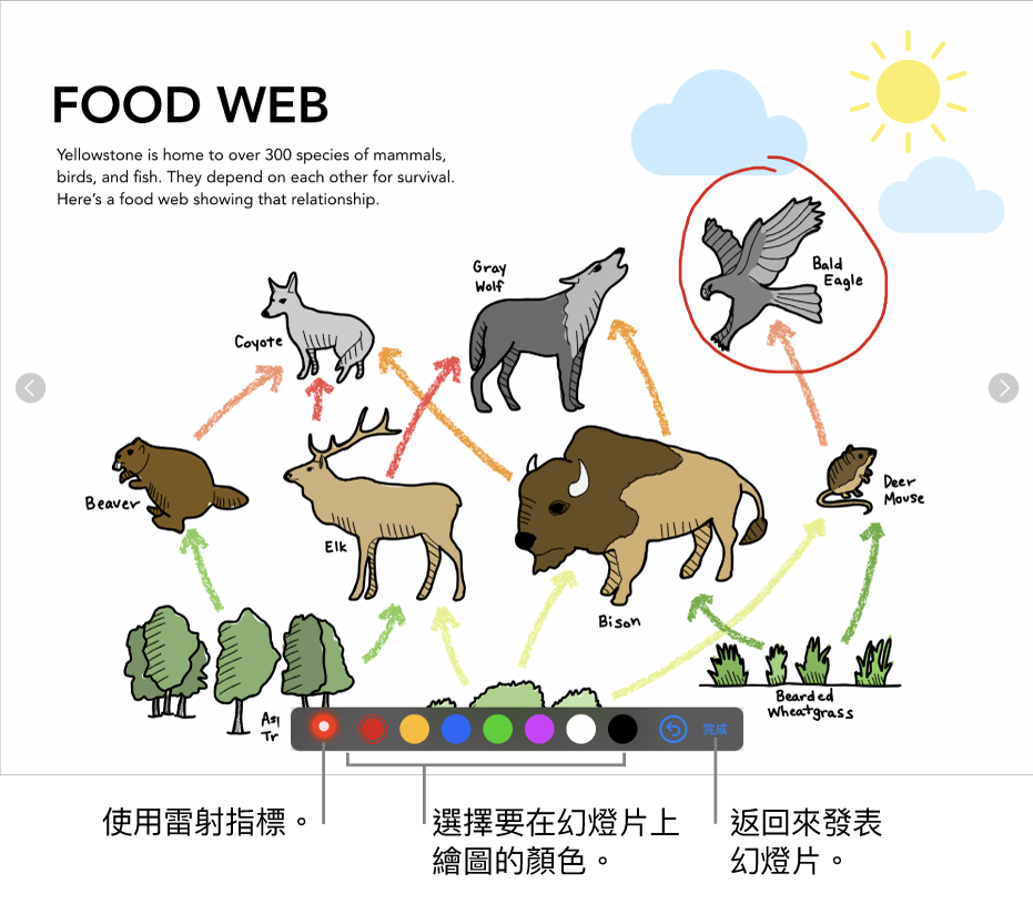 幻燈片圖解模式中的幻燈片顯示雷射筆和顏色選取控制項目。