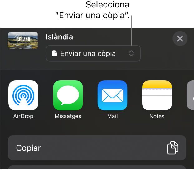 Menú “Comparteix” amb l’opció “Envia una còpia” seleccionada a la part superior.