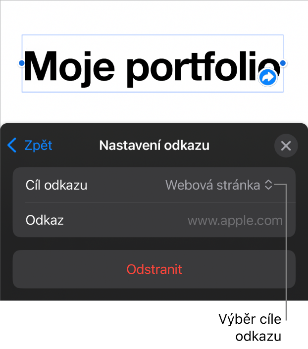 Ovládací prvky Nastavení odkazu s vybranou volbou Webová stránka a tlačítkem Odstranit v dolní části