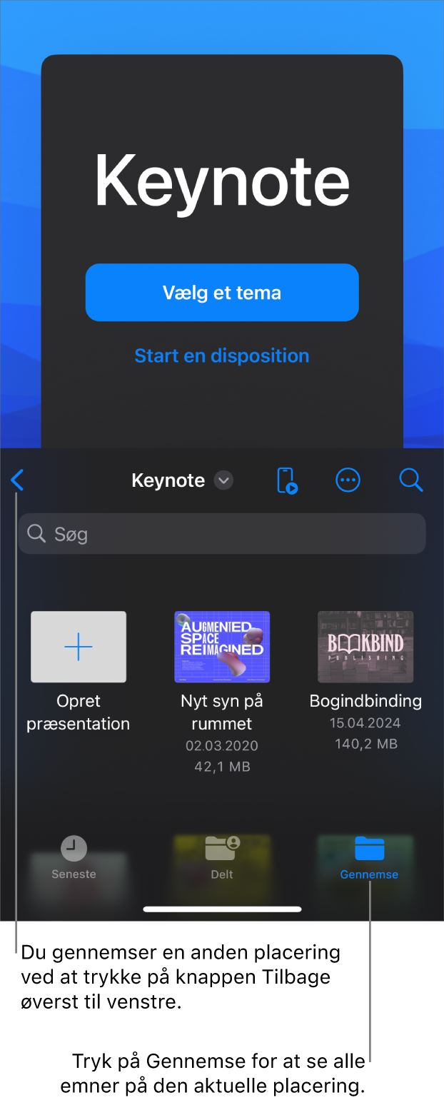 Dokumentadministrationen med knapper på den øverste halvdel af skærmen til at vælge et tema og starte et lysbilledshow fra en disposition og dokumentbrowseren med en delt præsentation nederst.