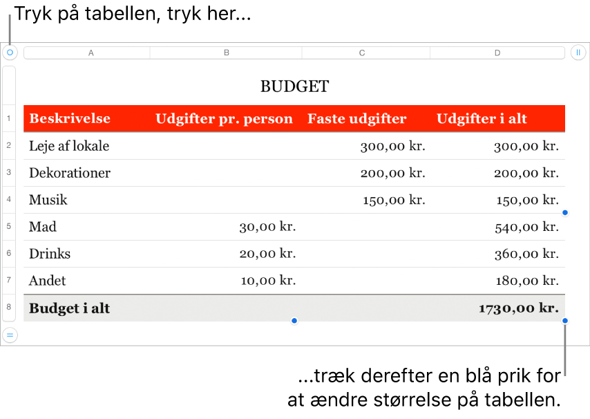 En valgt tabel med blå prikker til ændring af størrelse.