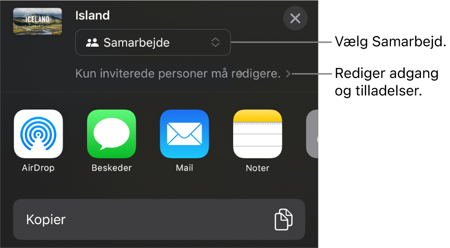 Menuen Del med Samarbejde valgt øverst og adgangs- samt tilladelsesindstillinger nedenunder.