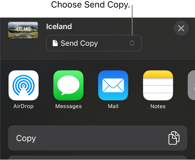 The Share menu with Send Copy selected at the top.