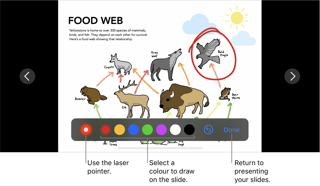 A slide in slide illustration mode showing the laser pointer and colour selection controls.