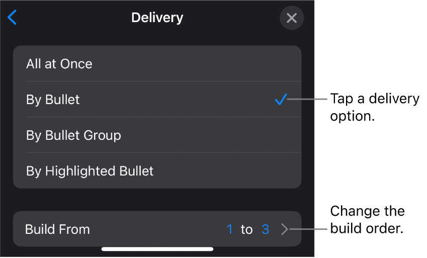 Delivery options in the Build In pane.