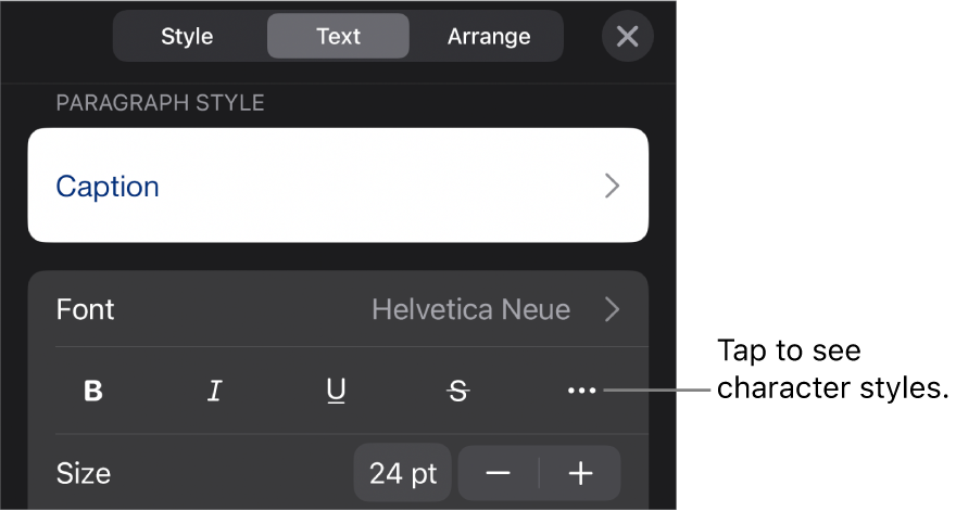 The Format controls with paragraph styles at the top, then Font controls. Below Font are the Bold, Italic, Underline, Strikethrough and More Text Options buttons.