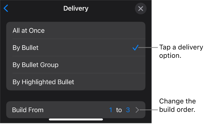 Delivery options in the Build In pane.