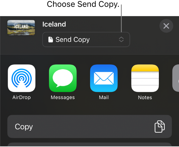 The Share menu with Send Copy selected at the top.