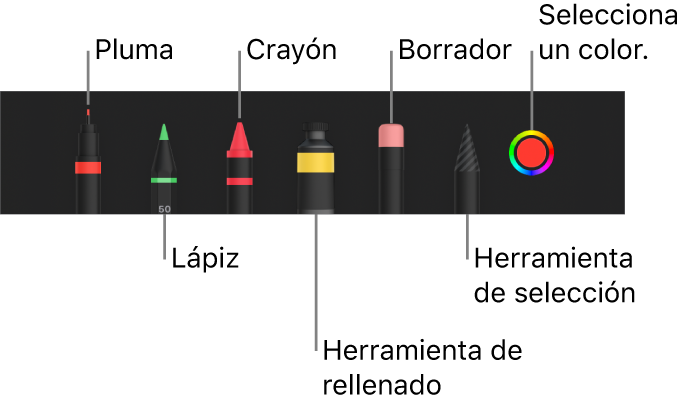 La barra de herramientas de dibujo con bolígrafo, lápiz, crayón, herramienta de rellenado, goma de borrar, herramienta de selección y la paleta de colores mostrando el color actual.