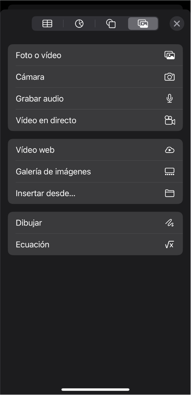 El menú Multimedia con botones para añadir y grabar varios objetos multimedia.