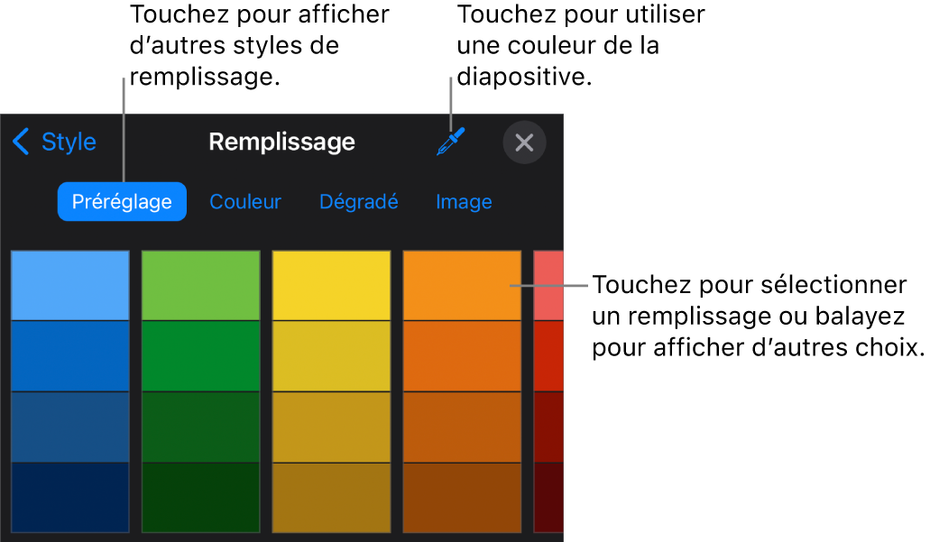 Options de remplissage dans l’onglet Style.